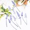 50Pcs Lavender Dried Pressed Flowers for Crafts,Xinxinran Dry Flowers Kit for Wedding Invitation,Resin Molds Bookmark,Jewelry Molds,Candle Making Supplies,Soap,Frame,Cakes